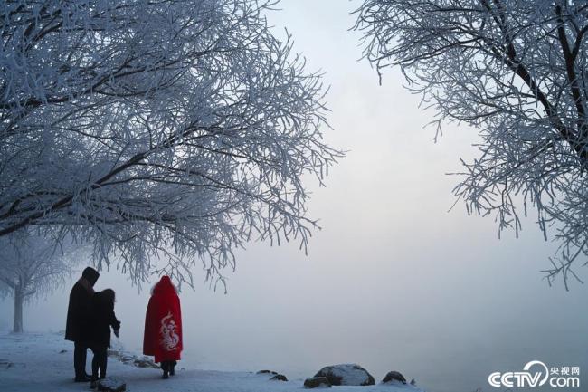 吉林：大寒时节雾凇美