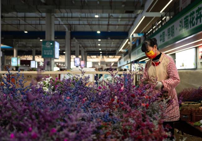 从斗南“花语”聆听奋进足音——“亚洲花都”传奇