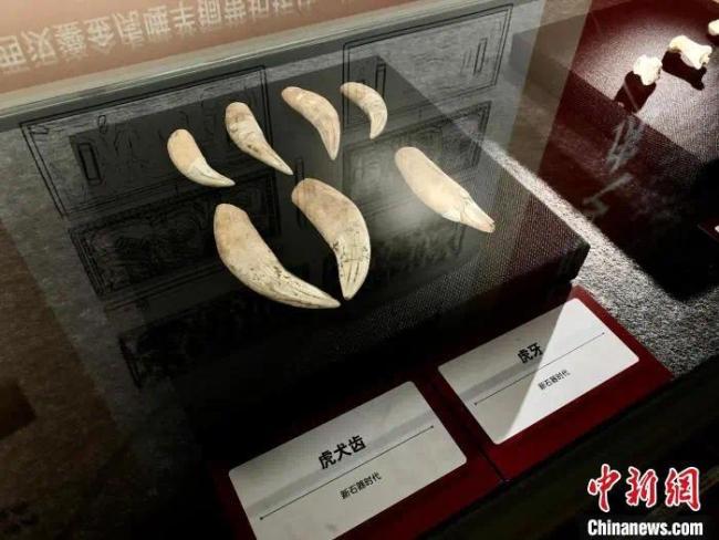 中国这些博物馆可真是“虎”呀！