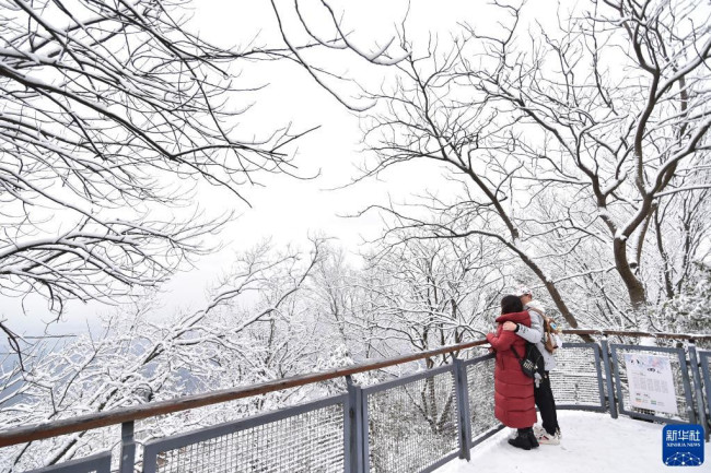 　1月29日，游人在南京紫金山欣赏雪景。