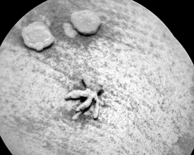 2022年3月2日，美国国家航空航天局图像显示，“好奇号”在火星发现奇特岩石，外观酷似花朵。团队确认这个物体是一个矿物形成物，具有由水析出的矿物形成的精致结构。