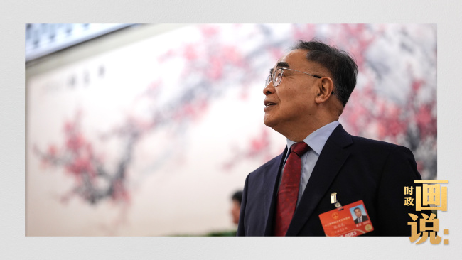 时政画说丨玉兰花开时