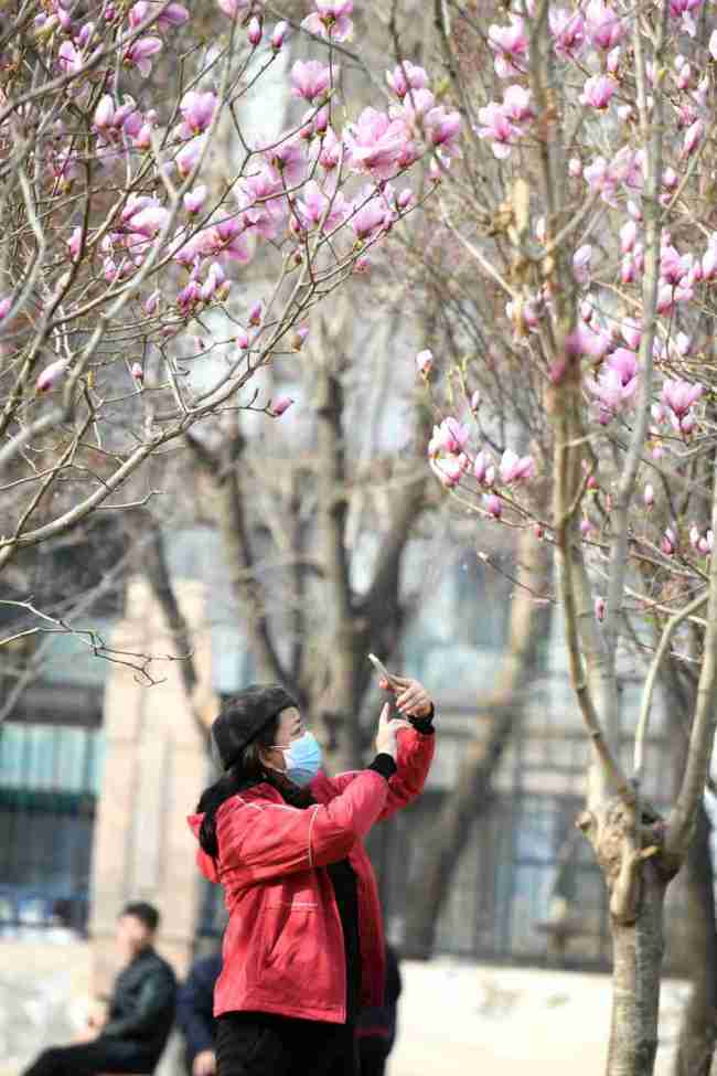 春光无限好 赏花正当时