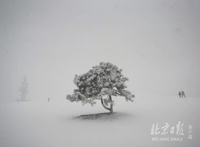 北京鹅毛大雪幻化出一片“雪国”