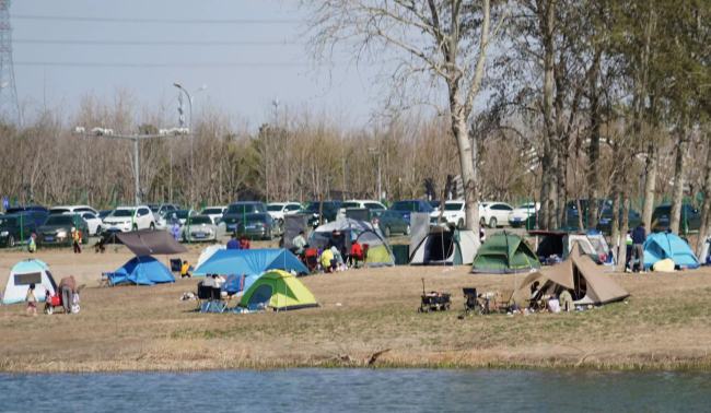 公园开放帐篷营地供市民踏青