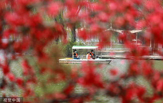 2022年4月4日，游客在石家庄市植物园划船赏景游玩，享受春光。