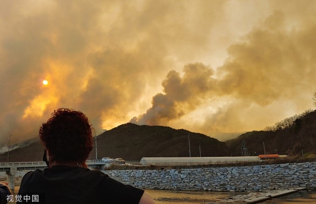 当地时间2022年4月10日,韩国江原道杨口郡,当地发生森林火灾,浓烟滚滚