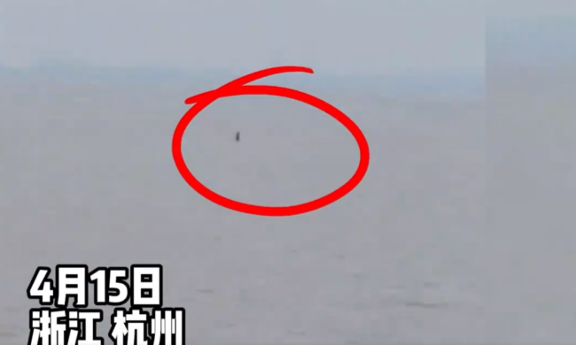 游客拍到一男子疑似在江面行走 网友：汉江孤影