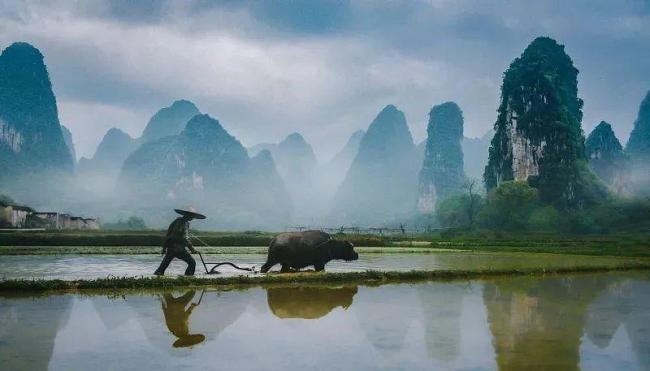 谷雨，春天的最后一次回眸