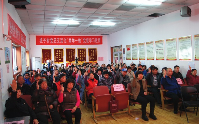 组织振兴 北京20万农村党员 筑基层坚实堡垒
