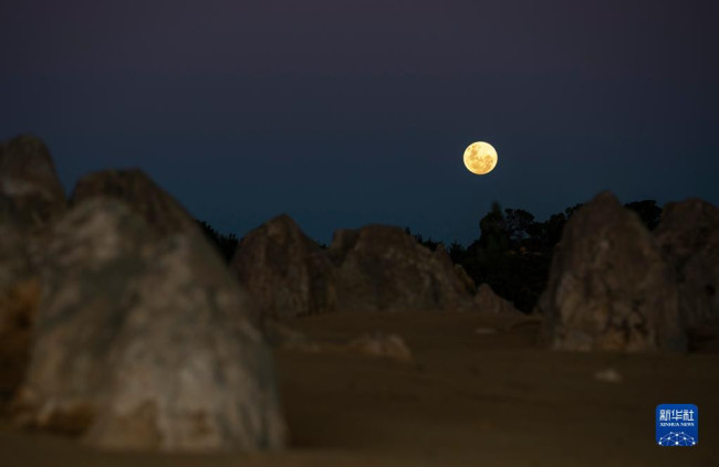 这是6月14日在位于澳大利亚西澳大利亚州的尖峰石阵拍摄的“超级月亮”。