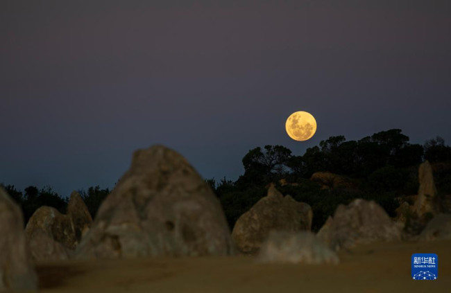 这是6月14日在位于澳大利亚西澳大利亚州的尖峰石阵拍摄的“超级月亮”。