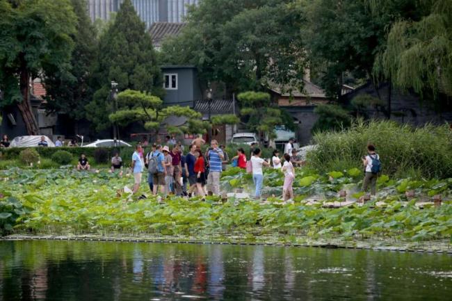 北京湿地保护管理体系初步建成：47块湿地列入市级名录