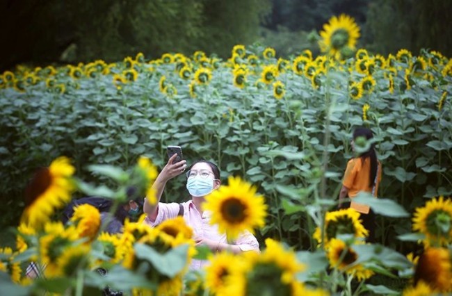 7月3日，游客在花丛中留影。