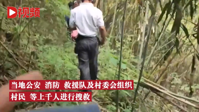 6岁男童走失山林2天成功自救