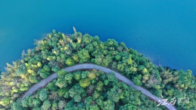 中国这十年·江西 | 红土圣地竞风流
