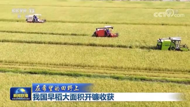 【在希望的田野上】我国早稻大面积开镰收获