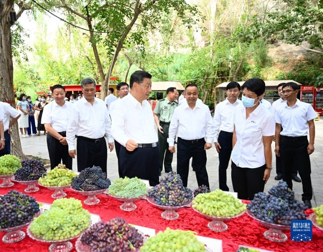 学习进行时丨习近平总书记新疆之行，细节中的宏大情怀