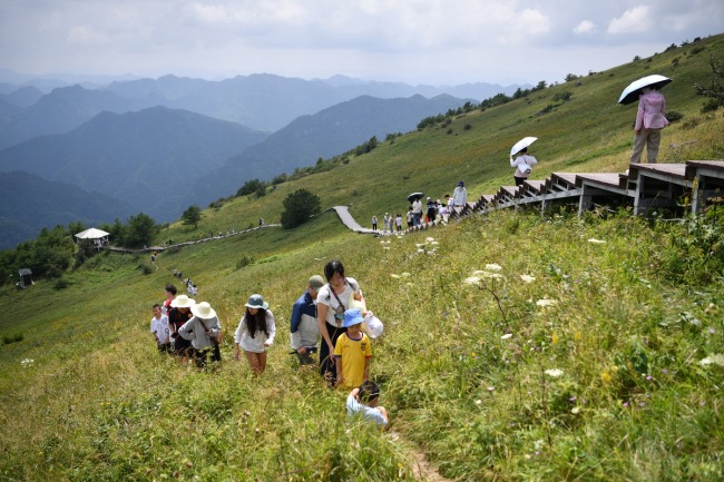 7月30日，游客在留坝县紫柏山国家森林公园内游览。