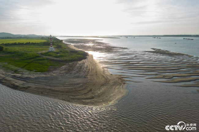 2022年8月11日，江西九江，鄱阳湖与长江交汇处大面积的湖滩露出。