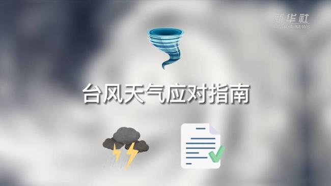 新华全媒+丨台风天气应对指南