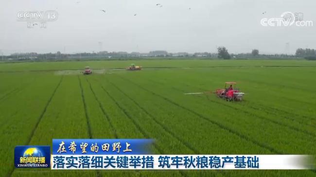 【在希望的田野上】落实落细关键举措 筑牢秋粮稳产基础