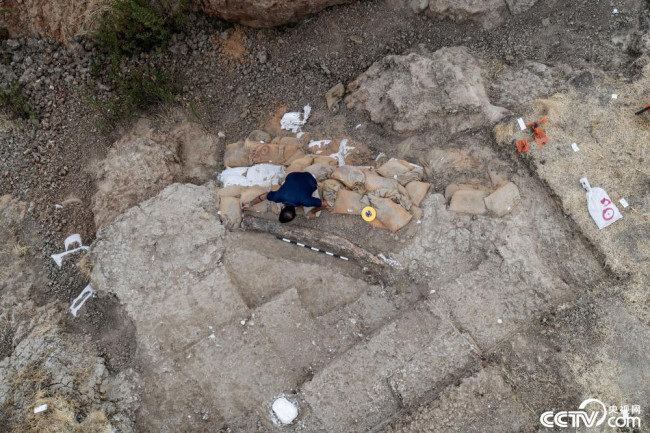 当地时间2022年8月31日，以色列文物局发表声明说，以色列南部近日出土一枚距今约50万年的象牙。