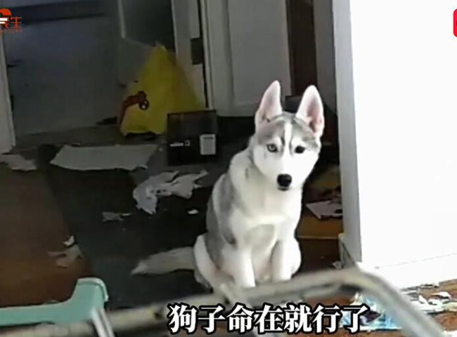 视频截图