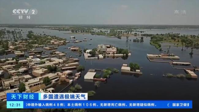 巴基斯坦洪灾致经济损失超100亿美元