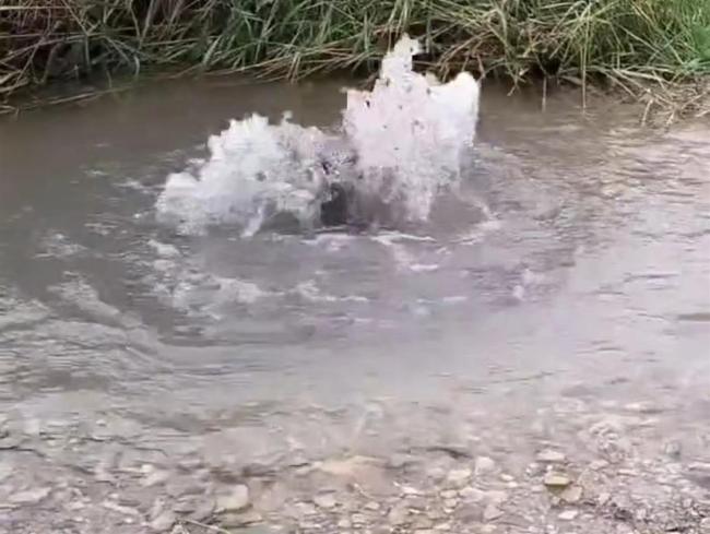 宁夏固原地震带上突现泉眼 官方回应：蓄水池满溢