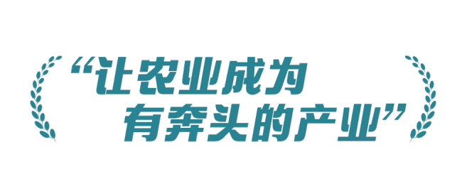 稻菽千重浪丨中国要强，农业必须强