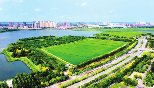 生机绿谷 生态高地──天津高质量构筑京津冀东部绿色生态屏障