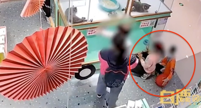 2小孩打配合偷走宠物店猫咪