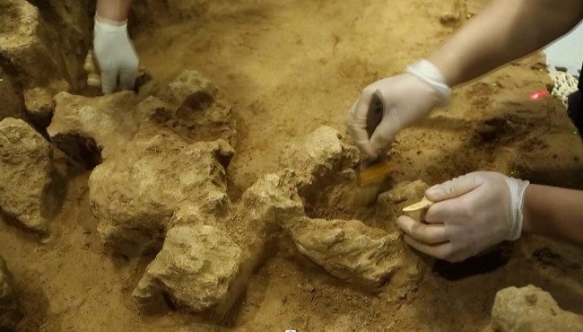 湖北十堰，考古学家在学堂梁子遗址挖掘古人类头骨化石。（具体拍摄时间不详）（视频截图）