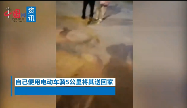 小学生坐反车司机骑行5公里送回 