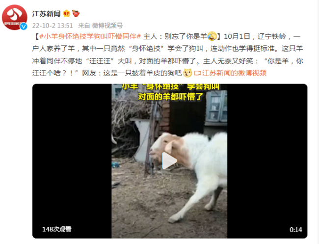 小羊学狗叫吓懵同伴，主人无奈又好笑：你是羊，你汪汪个啥？