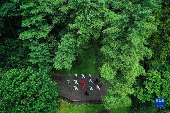 市民在贵阳市长坡岭国家级森林公园里健身（2022年7月13日摄，无人机照片）。新华社记者 杨文斌 摄