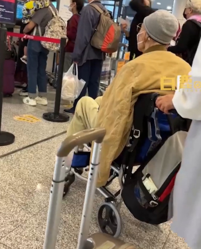 东北老人坐轮椅组团飞三亚过冬