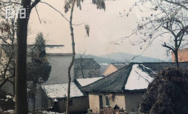 男子打工期间攻克英语转行高薪职业当事人 出国杀猪