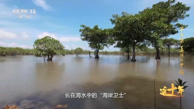 这十年丨美丽的中国