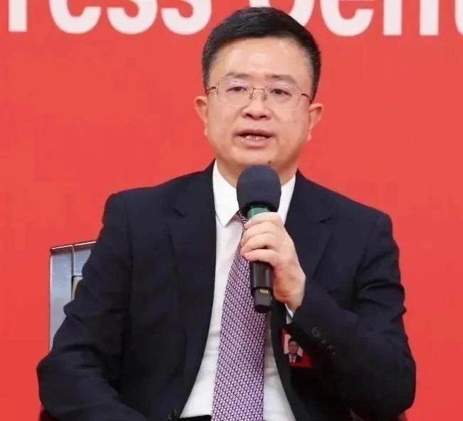 重庆市委常委,秘书长罗蔺在回答记者提问.新华社记者 张玉薇 摄