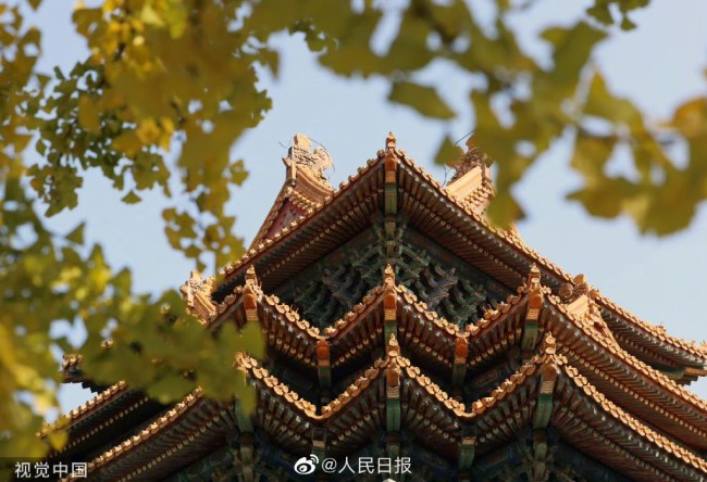 故宫的秋天请慢一点！故宫西华门银杏太好看了