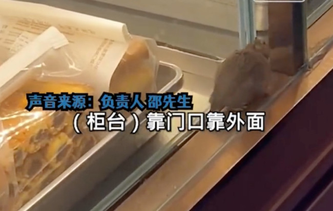 知名糕点门店老鼠在展柜旁乱窜 店长：夹缝里没挤进来