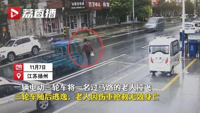 三轮车撞人逃逸警方靠萨摩耶破案：被一条狗出卖了
