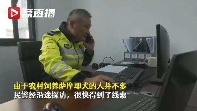 三轮车撞人逃逸警方靠萨摩耶破案：被一条狗出卖了