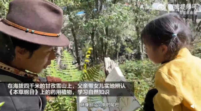 藏族父亲带4岁女儿爬山学本草纲目 网友：羡慕哭了