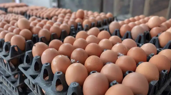 多批鸡蛋检出兽药 食用危害有多大：会引起肝肾损害