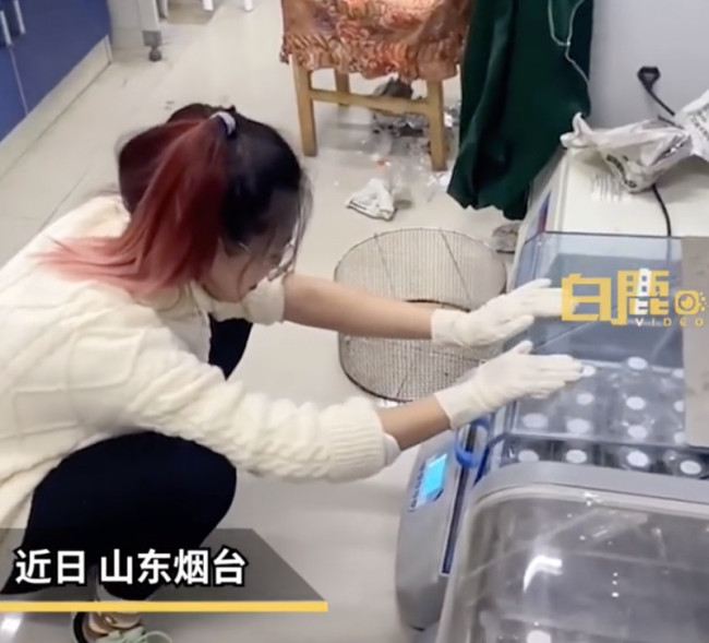 实验用菌不生长被研究生怒批 网友：还有更惨的