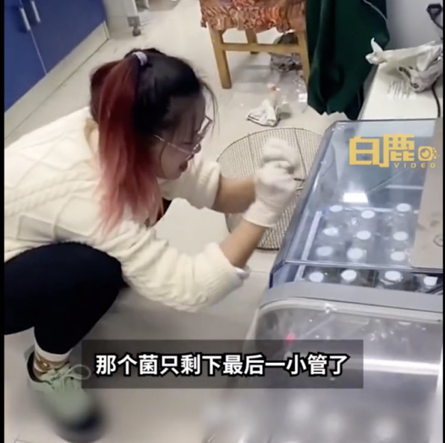 实验用菌不生长被研究生怒批 网友：还有更惨的
