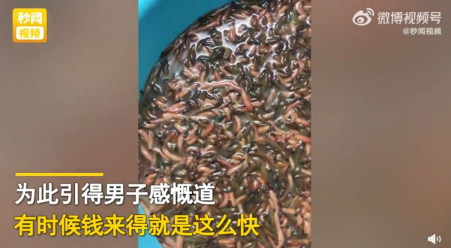 男子夜钓发现无数“烟头”：卖到150一斤